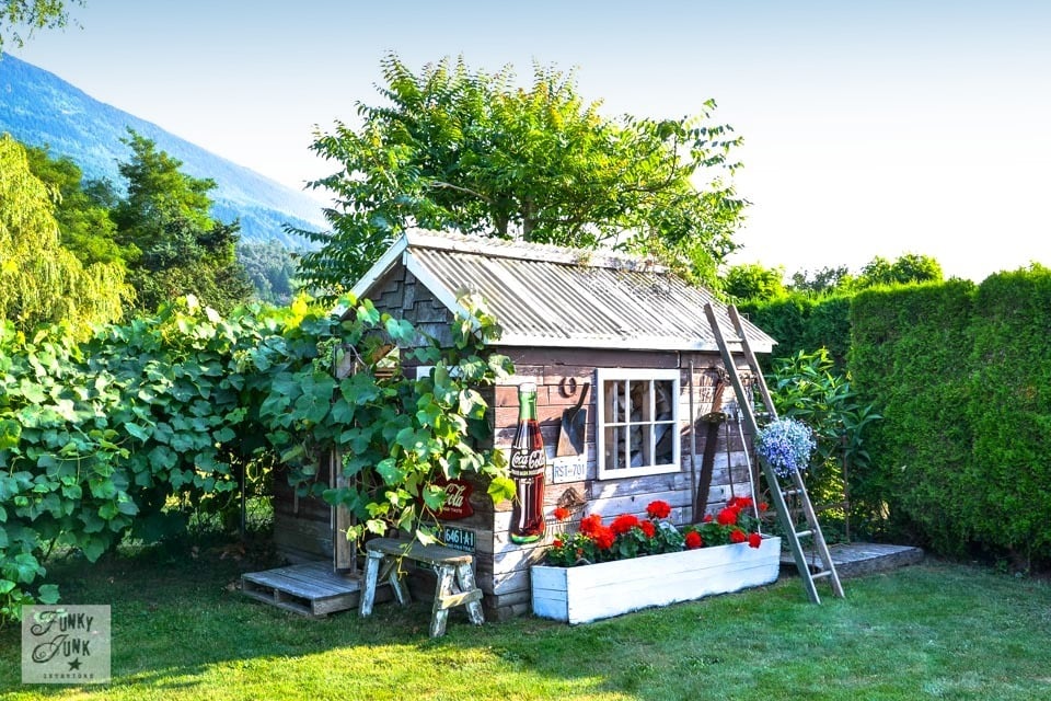 From greenhouse to rustic garden shed part 4 - the reveal 