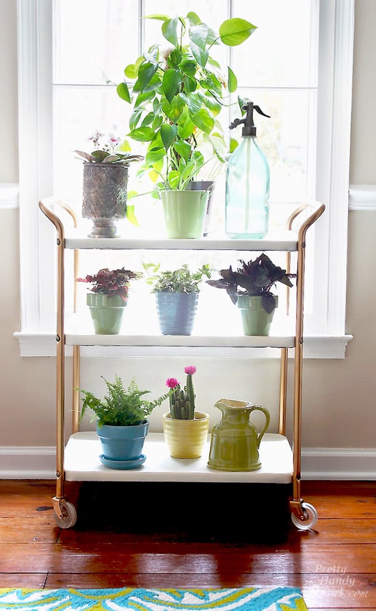 Plant-cart-in-window