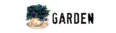 Garden Junkers United on Pinterest