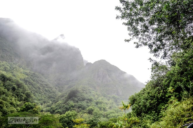 A real rainforest experience at Iao Valley and Needle, in Maui. The place where it always rains! via FunkyJunkInteriors.net