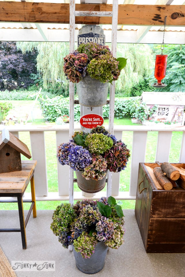 Forever beautiful buckets of hydrangeas on a ladder / how to dry them and keep them around all year long via FunkyJunkInteriors.net