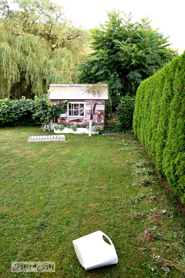 weeding the hedges