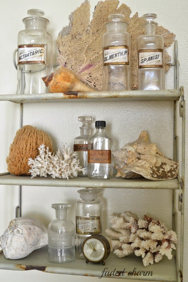 Beach design with shells and coral in a bathroom by Faded Charm