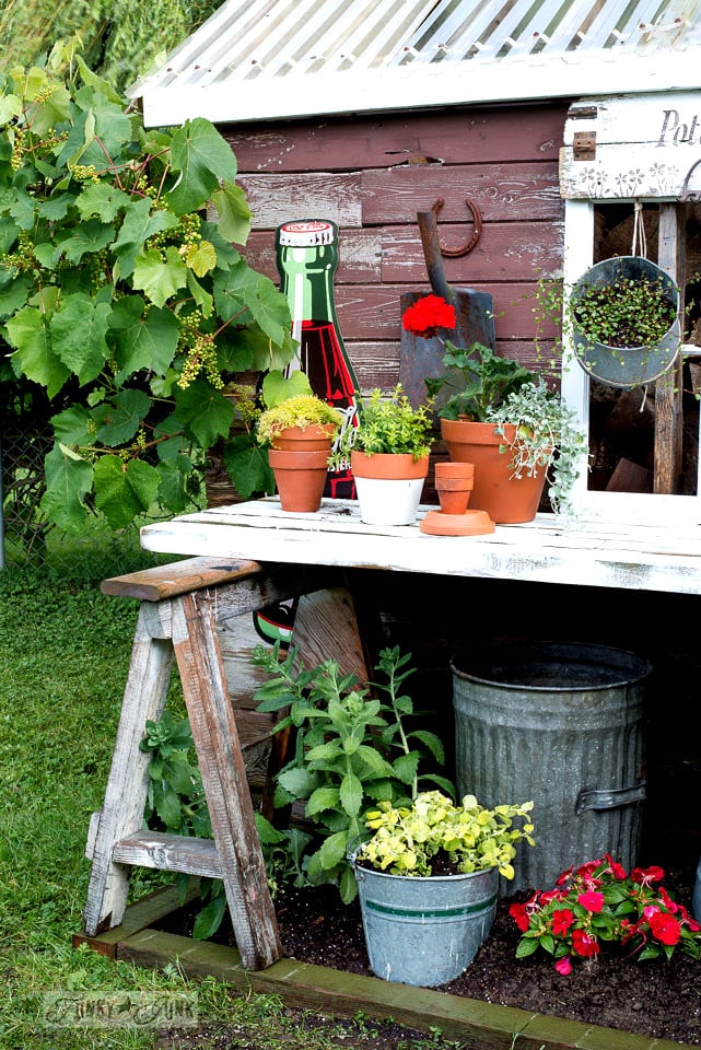 Rustic shed reveal with sawhorse potting bench and old ...