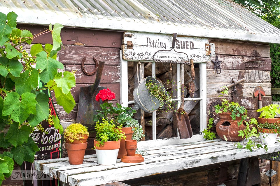 Rustic shed reveal with sawhorse potting bench and old