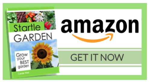 Purchase Startle Garden from Amazon HERE