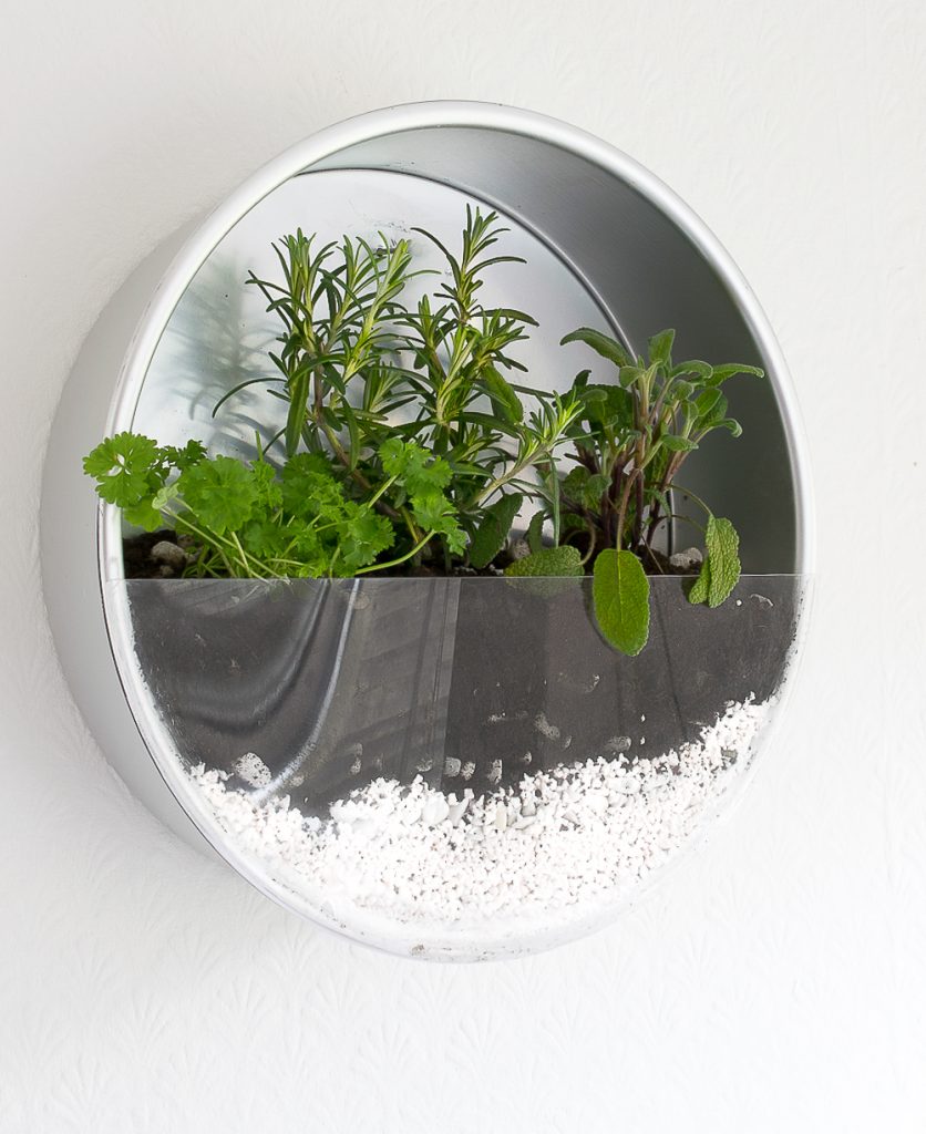 Baking pan indoor hanging herb garden, by Grillo Designs, featured on Funky Junk Interiors