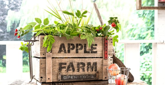 DIY rustic Apple Farm crate for fall, made with Funky Junk's Old Sign Stencils-001