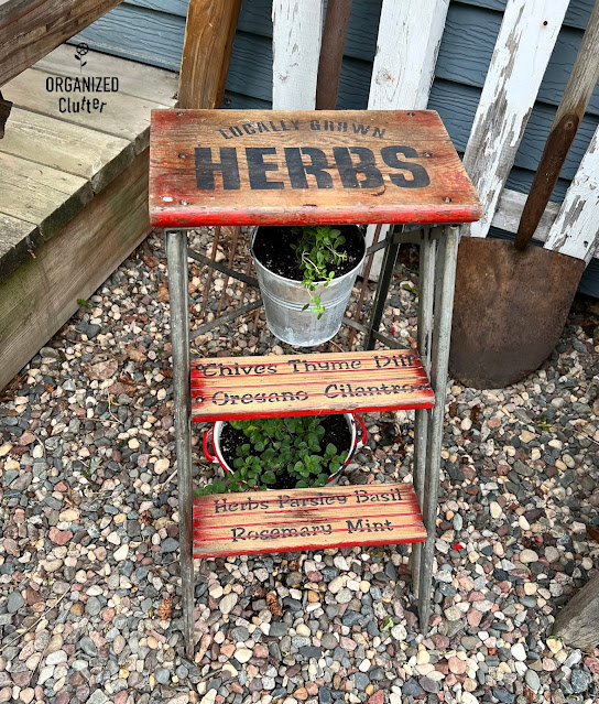 herbs planter with a stepstool