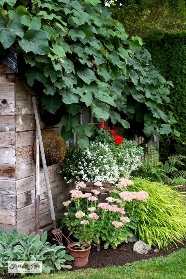 Get The Look Blooming Flowers Surrounding A Summer Outdoor Shed. With Images Funky Junk Interiors