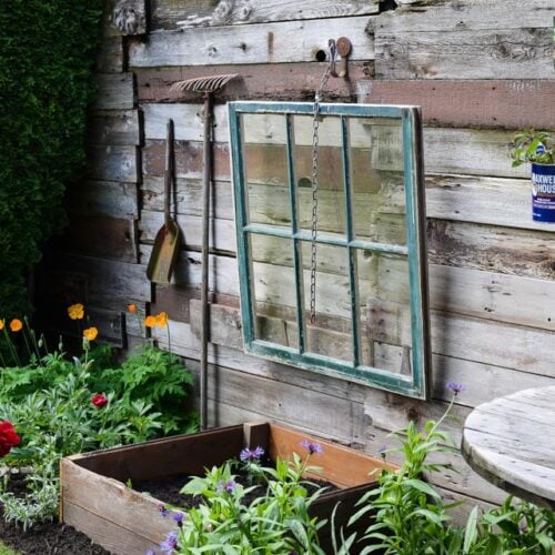 cold frame made with an old window