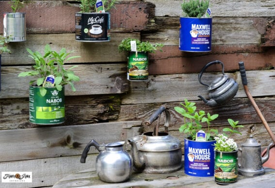 herb garden with coffee cans