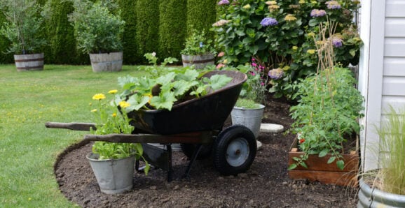 raised garden bed for vegetable garden