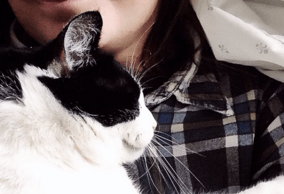 missing Lake the cat