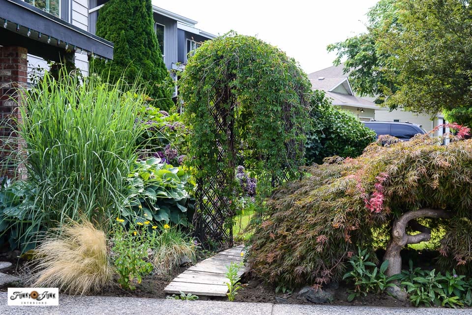 Looking for a gorgeous yet easy vine to grow? Discover the beauty and ever changing characteristics of growing Virginia Creeper on garden arches. Get tips and take a summer yard tour to see its stunning effects!