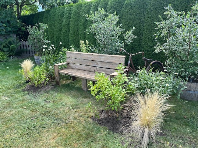 flower garden with bench