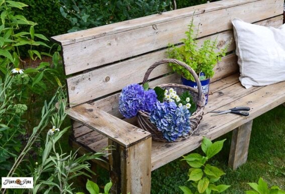 flower garden with bench