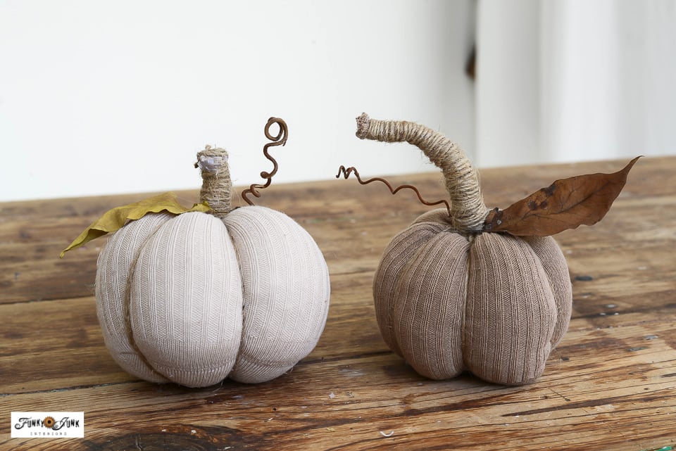 size differences of two sock pumpkins