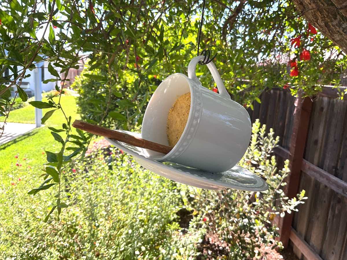 cup and saucer bird suet feeder by Fresh Vintage By Lisa S featured on New Upcycle Ideas 832