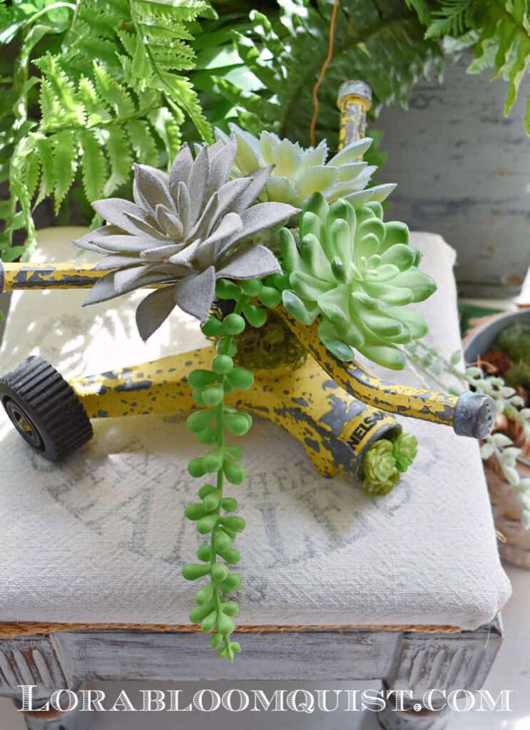 sprinkler succulents featured on New Upcycle Ideas 830