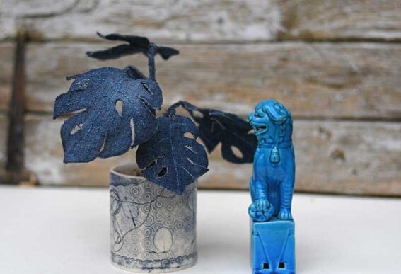 denim-monstera-plant