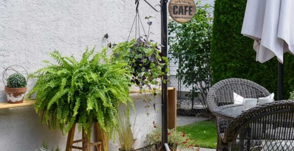 Coat hook plant stand! hanging plant stand from an upcycled coat rack