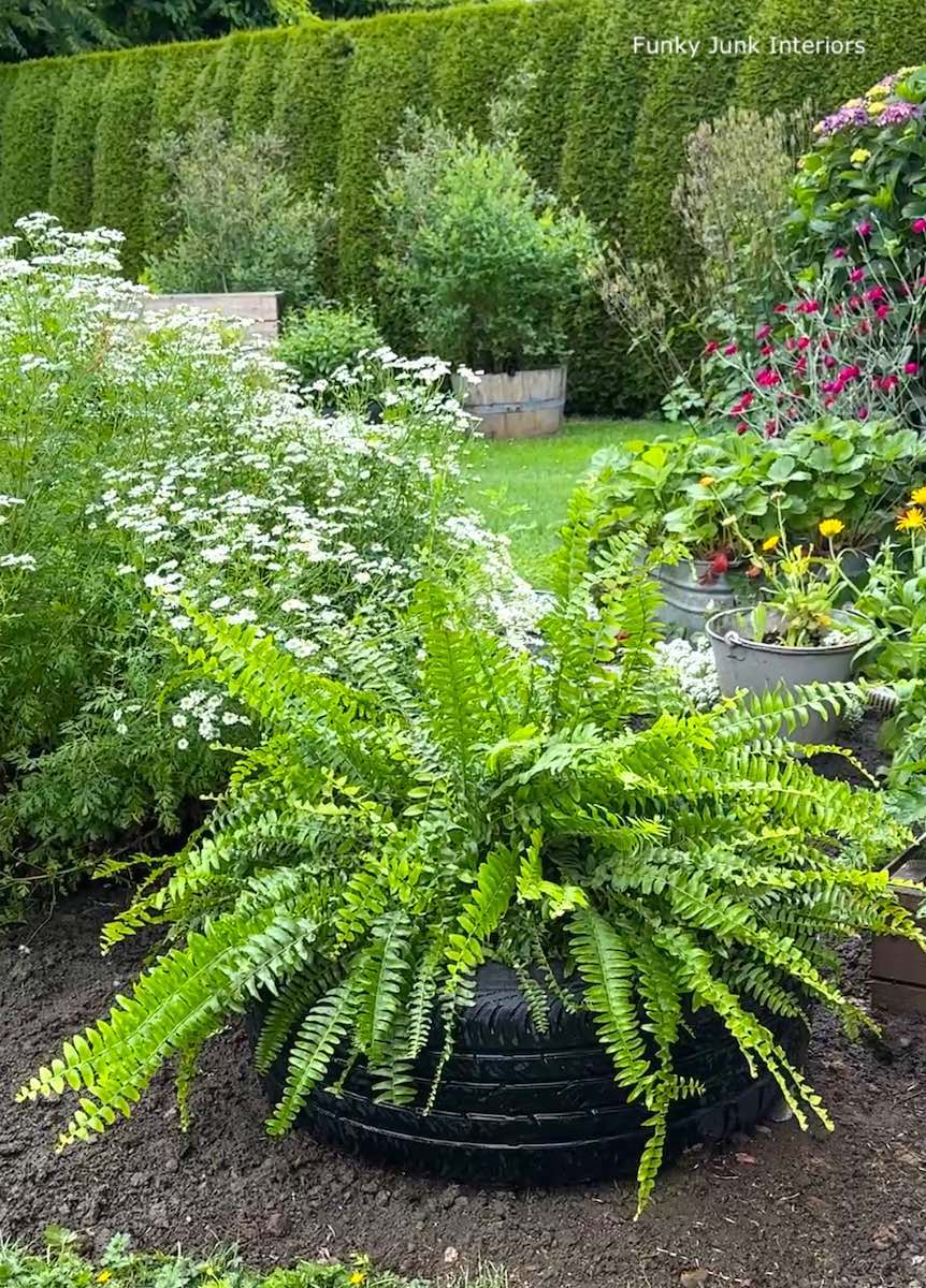 things made with used tires - upcycled tire planter holding a fern