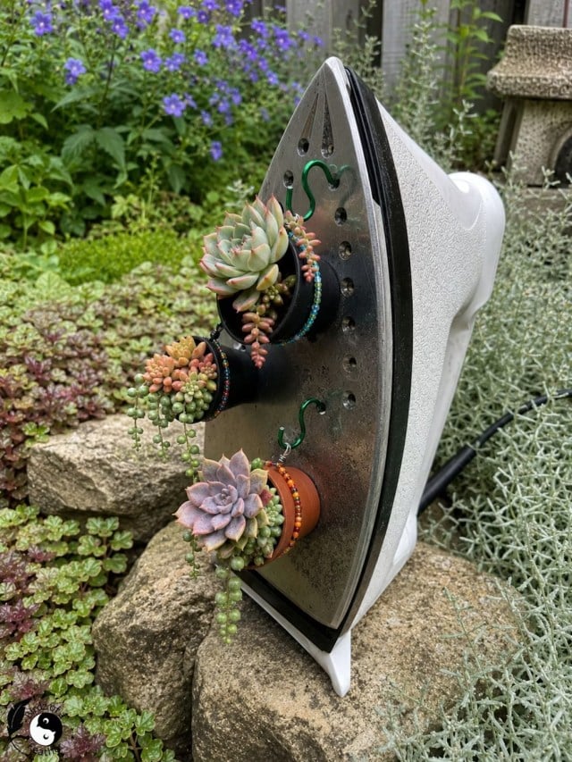 Old iron succulents by Birdz of a Feather featured on New Upcycle Ideas 841