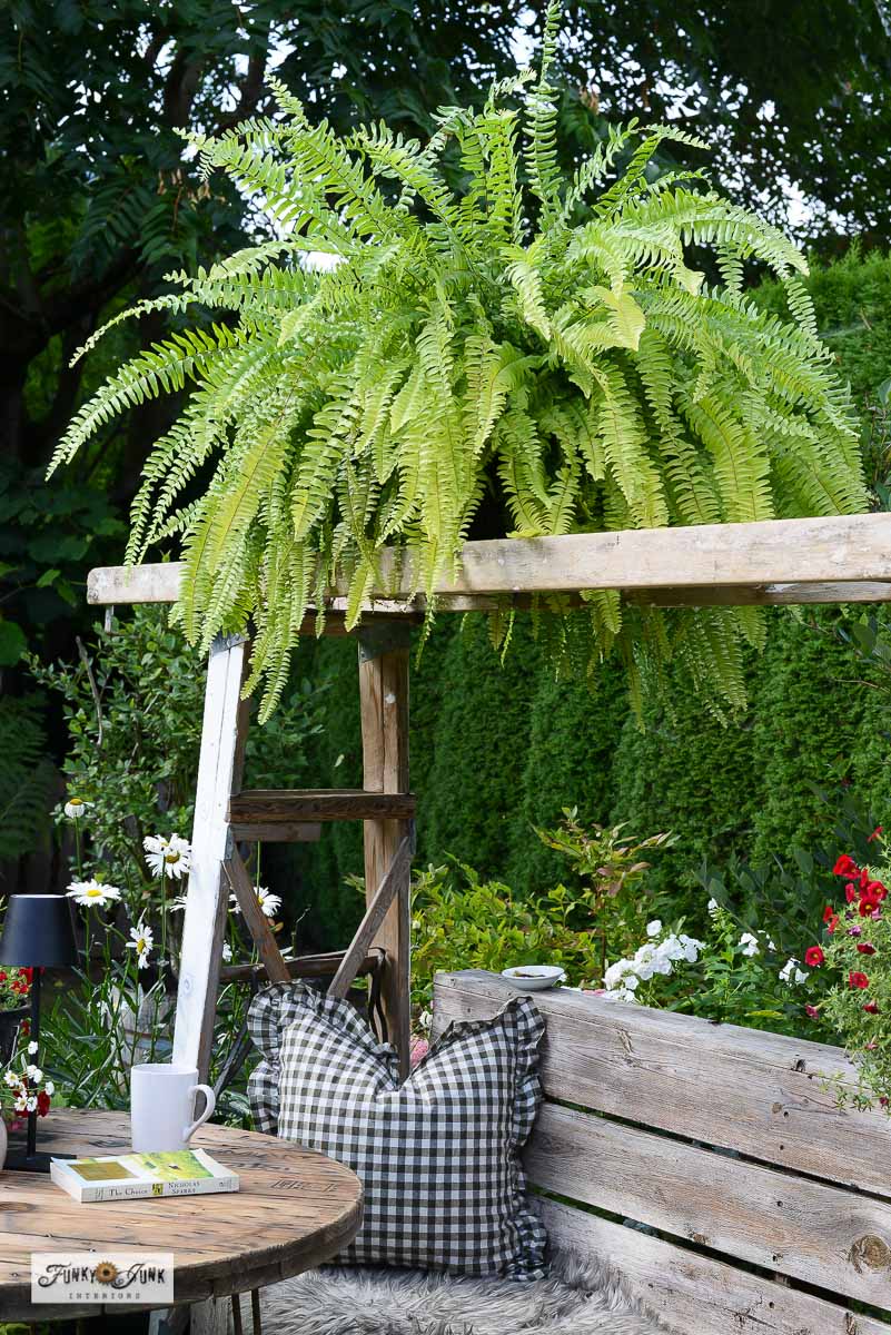 large fern on top of a ladder garden arbor