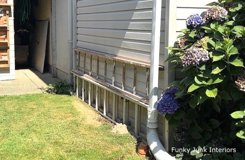long flat wooden ladder to become part of a garden arbor