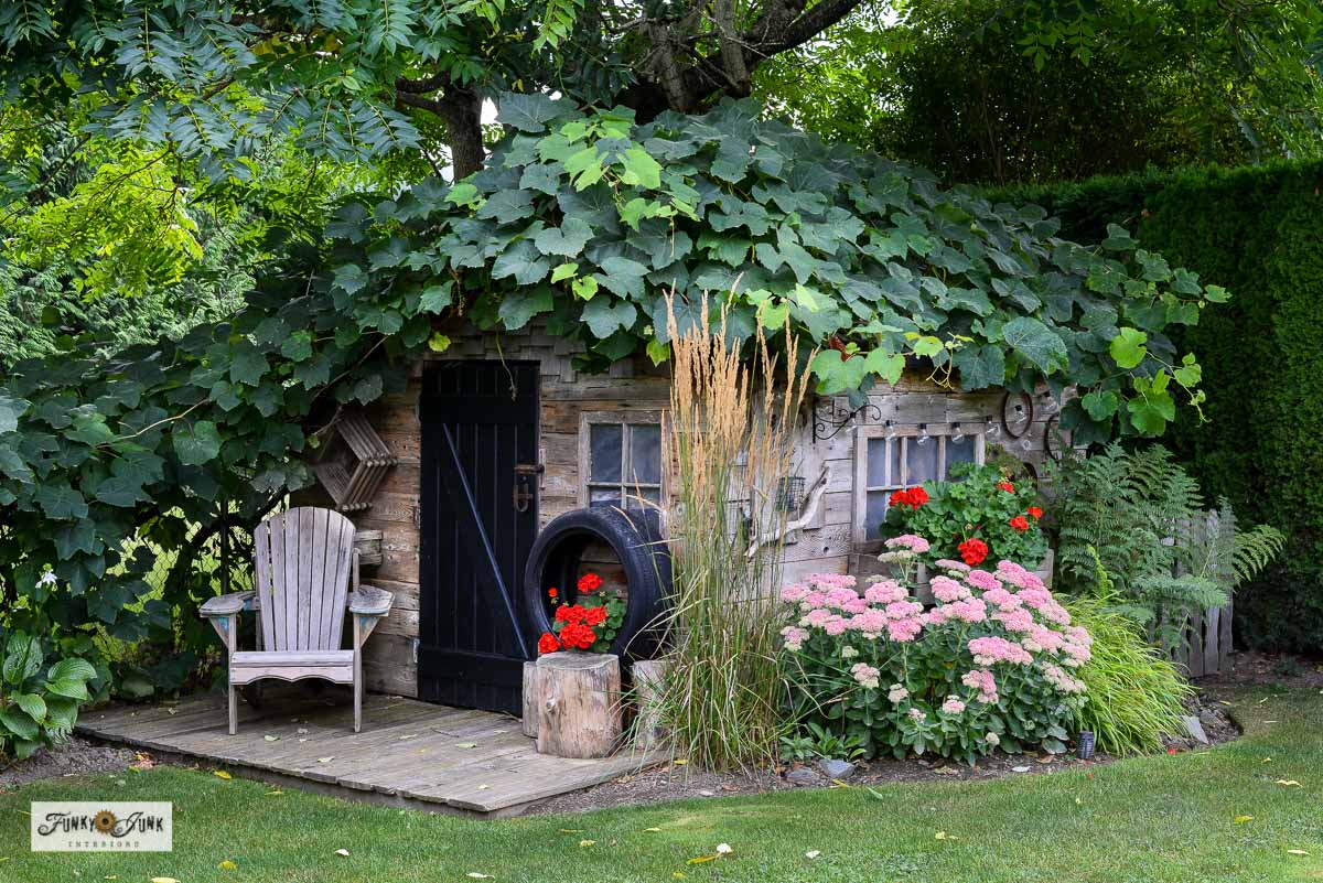 rustic garden shed with flowers and grapevines