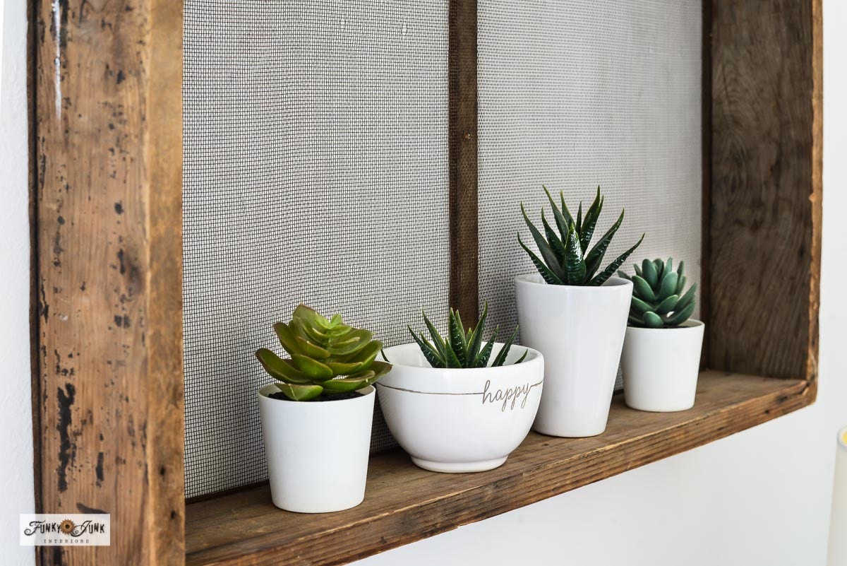 aux succulents in white pots on antique shelf