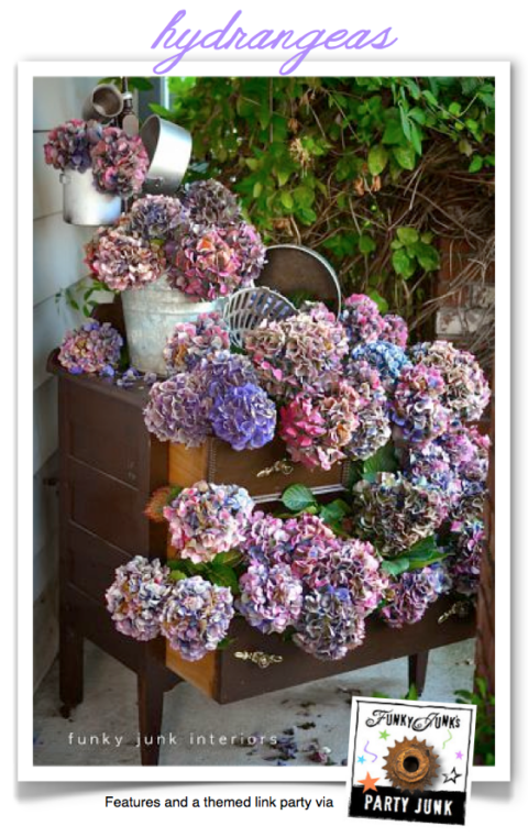 Hydrangeas - features and a link party via Funky Junk's Party Junk