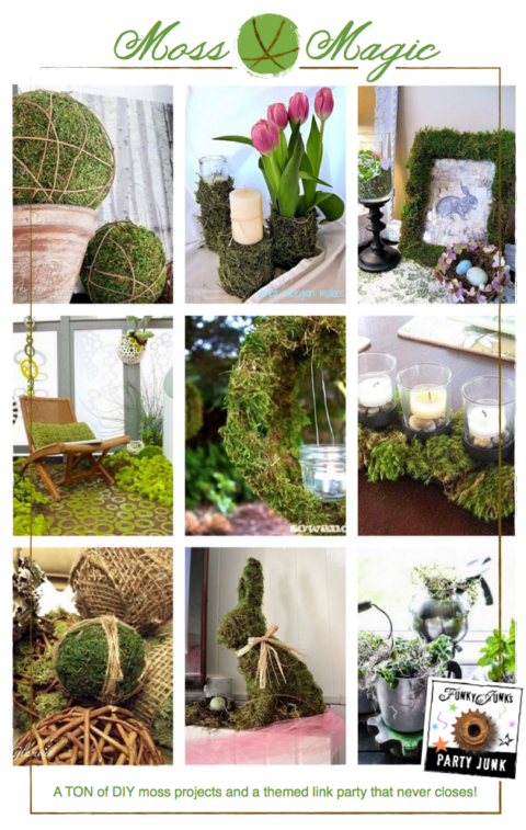 Moss Magic! A TON of DIY moss projects and a themed link party via Funky Junk Interiors