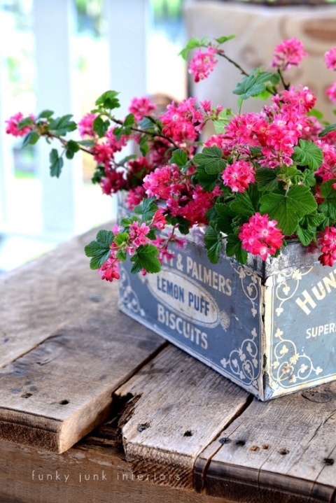 flowers in creative junk vases funky junk interiors - pink spring buds in Huntly and Palmers vintage tin