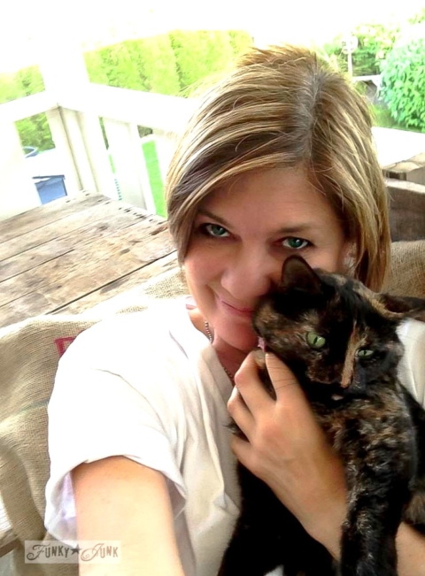 a tortie cat visits