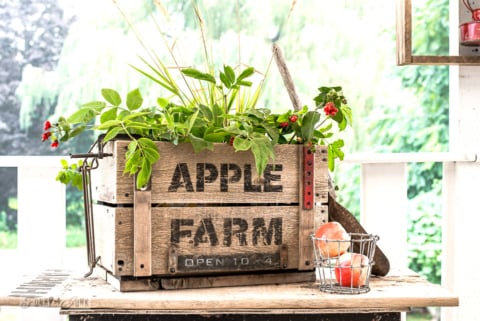 DIY rustic Apple Farm crate for fall, made with Funky Junk's Old Sign Stencils-001