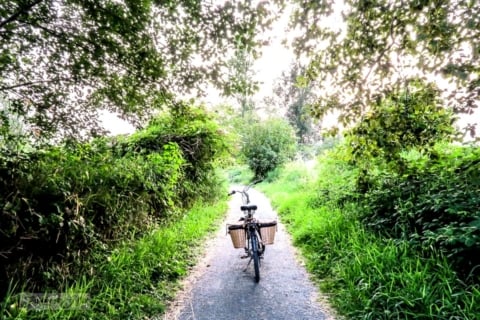 bike on the Vedder River rotary trail during summer