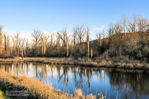2018 Christmas winter bike ride-4982