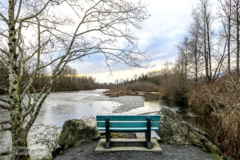 2019 winter bike ride vedder river rotary trail-007