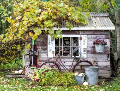 rustic garden shed during fall