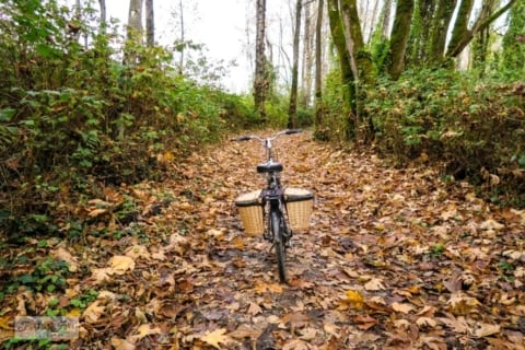 moody fall bike ride on the vedder river rotary trail in Chilliwack, BC