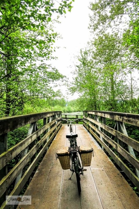 Vedder River Rotary Trail bike ride adventure on rustic bridge