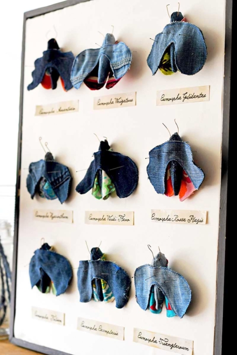 denim moth specimens by Pillar Box Blue