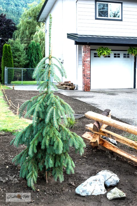 split rail fence garden