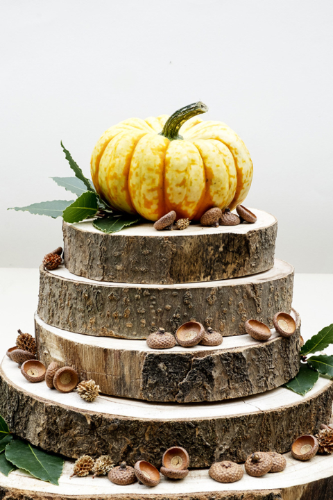 Rustic autumn wood cake art by Elsa R Blog