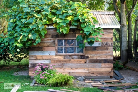 shed - adding reclaimed wood siding and shingles