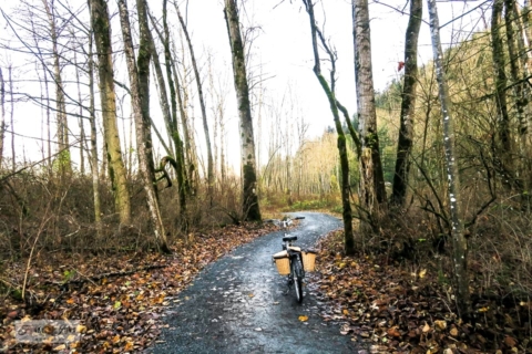 Winter Vedder River Rotary Trail bike ride