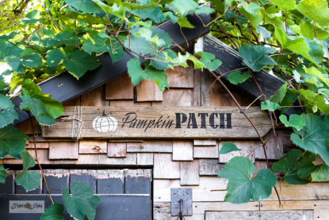 stenciled fall pumpkin patch sign