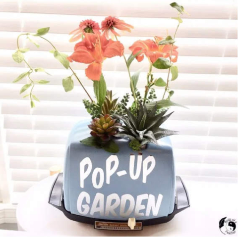 Toaster pop up garden